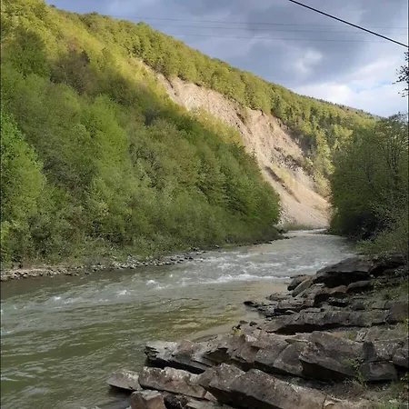 підсніжник * Yaremche